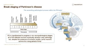 Braak staging of Parkinson’s disease